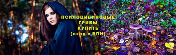 крисы Бугульма