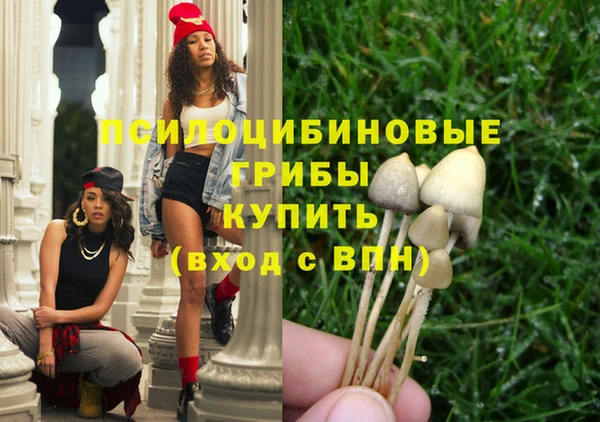 крисы Верея