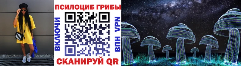 Галлюциногенные грибы Psilocybine cubensis  Купить закладки  Мезень 